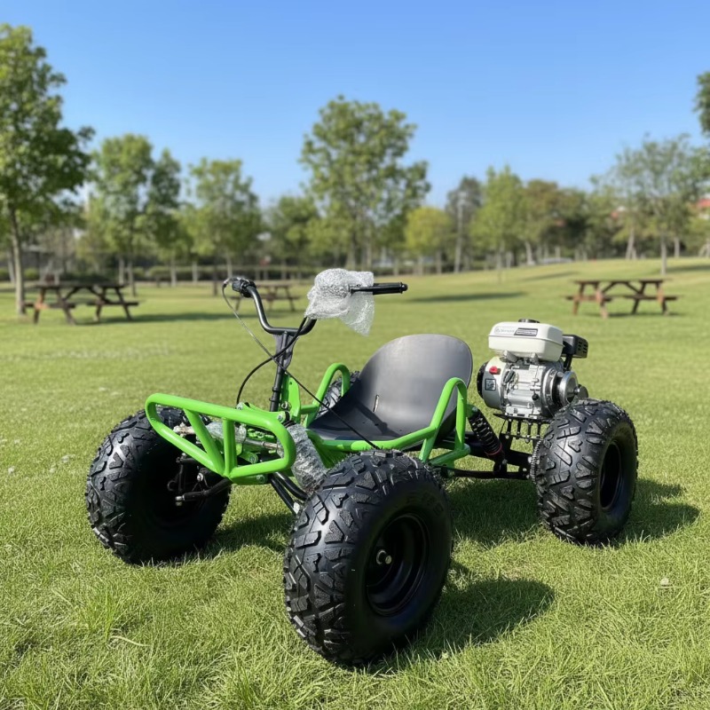 212cc 4ストロークペダルゴーカート、インフレータブルス - Outdoor Power And Pedal のレビューと価格