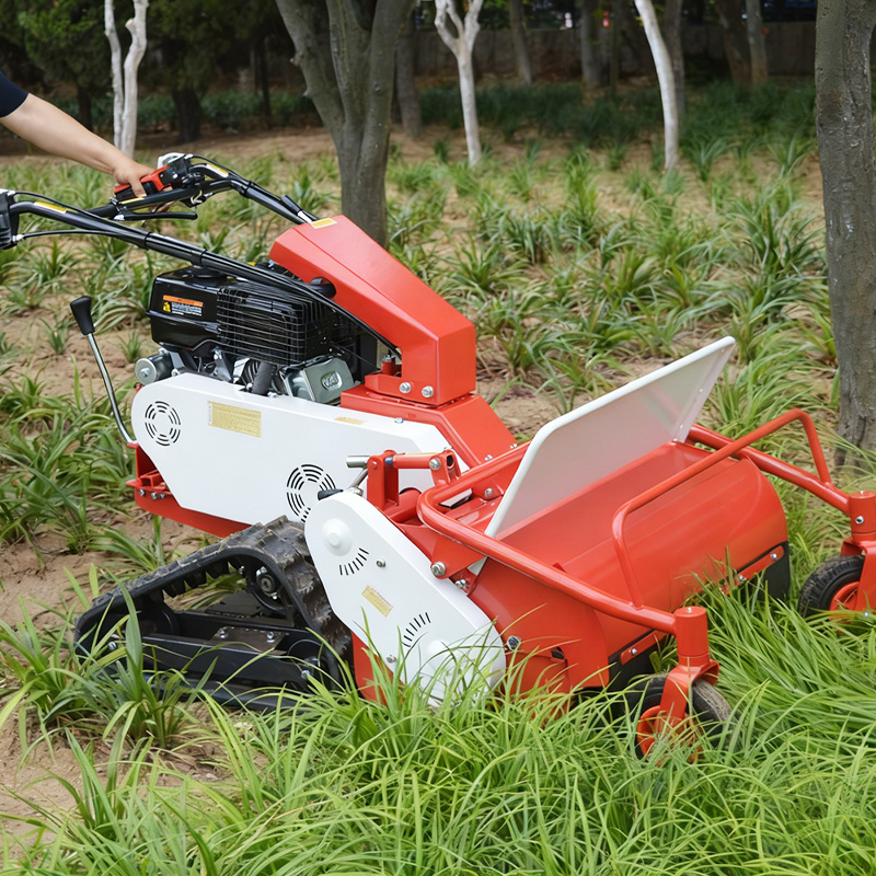 売れ筋の追跡式歩行型芝刈り機、スチールフレーム、高さ調整可能 - Hedge Trimmer Cordless のレビューと価格